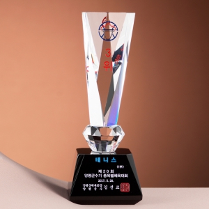 Å©¸®½ºÅ» Æ®·ÎÇÇ SAM24T214