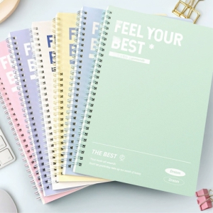 B5 ÆÄ½ºÅÚ ½ºÇÁ¸µ³ëÆ®