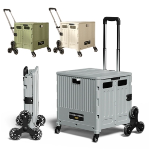 ·ÎÆä¸®¾Æ Á¢ÀÌ½Ä Ä«Æ® 8°³ ¹ÙÄû ´ëÇü