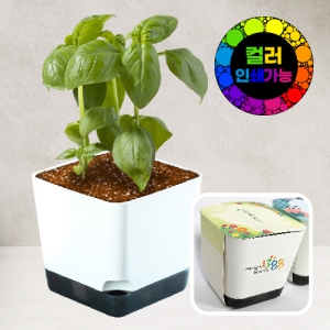 »ç°¢ÈÀÌÆ®ÈºÐ