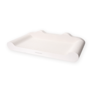 Áý»çÀϱâ Ȳ±Ý¼ÒÆÄ