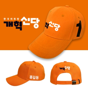 NS °³Çõ½Å´ç ¼±°Å¸ðÀÚ