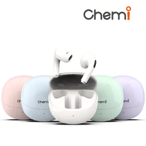 �ɹ� HIBT-T3 ��� PEBBLE ������ �������� ������ ���� �̾���