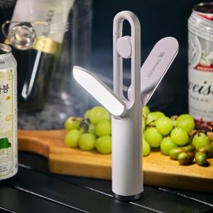 ½´Æ¿·ç½ºÅÍ Ä·ÇÎ LED ·£ÅÏ