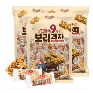 ÇÑÀÔ ½ï 9°î º¸¸®°úÀÚ