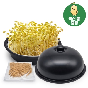 ������ �ᳪ�� �������� (������ ����)