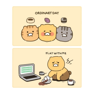 īī¿ÀÇÁ·»Áî Ãá½ÄÀÌ ºò ÀåÆÐµå µ¥½ºÅ©ÆÐµå KFP200