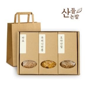 »êµé³í¹ç °í´ë°î¹° 3Á¾¼¼Æ®