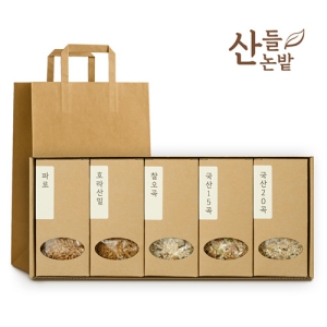 »êµé³í¹ç °Ç°È¥ÇÕ 5Á¾¼¼Æ®