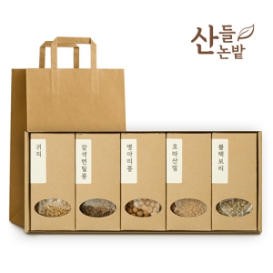 »êµé³í¹ç ½Ç¼ÓÈ¥ÇÕ 5Á¾¼¼Æ®