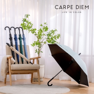 Ä«¸£Æäµð¿¥ 65 ¾Ï¸· °îÀÚ Àå¿ì»ê (C079)