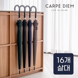 Ä«¸£Æäµð¿¥ 65 °îÀÚ Àå¿ì»ê (C083)