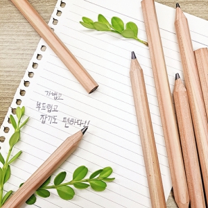 incolor Ç⳪¹« Á¡º¸¿¬ÇÊ (2B)