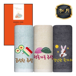 ¼Û¿ù dz¼ºÇູÆò¾È Ãß¼®Å¸¿Ã 130 1¸Å