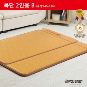 ÇÑÀÏÀü±â¸ÅÆ®-¸ñ´Ü 2ÀοëB