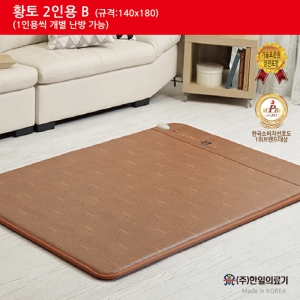 ÇÑÀÏÀü±â¸ÅÆ®-ȲÅä2ÀοëB