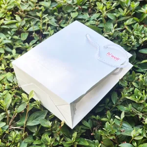 [�ֹ�����] ���̼��ι�_�ǰ���ǰ (250x100x270mm)