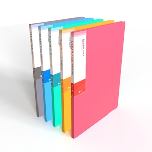 ÆÄ½ºÅÚÅæ PP Ŭ¸®¾î ÈÀÏ ÆÄÀÏ 10¸Å