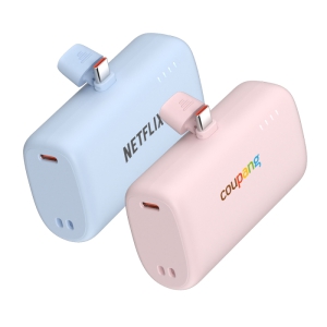 ̾ CŸ  ŷ 22.5W ͸  10000mAh