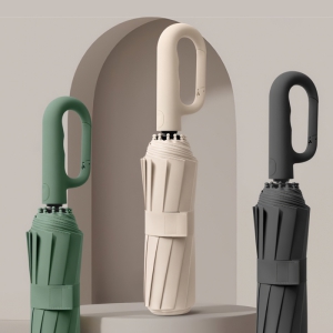 BLIF Ä«¶óºñ³Ê ¹öŬ 10K 3´Ü ÀÚµ¿ ¿ì»ê