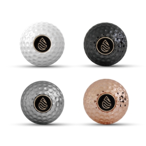 Å©·Ò °ñÇÁ°ø ¿¥ºí·³ ¹æÇâÁ¦