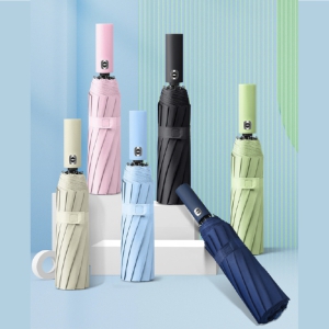 (Blossom) ´õºíÇÁ·¹ÀÓ 3´Ü ¿ÏÀüÀÚµ¿ ¾ç¿ì»ê 24k 1P