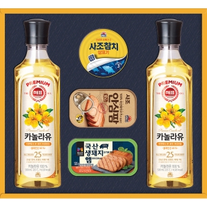 ÇÁ¸®¹Ì¾ö Çܺ¹ÇÕ AÈ£