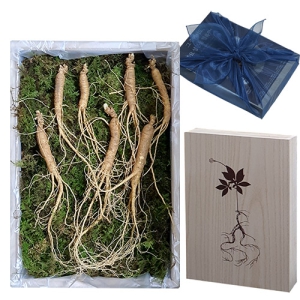 ȿõ »ê¾ç»ï Àå³ú»ï 7³â±Ù 7»Ñ¸® ¼±¹°¼¼Æ®