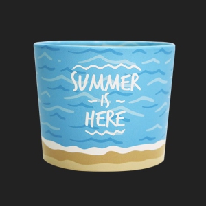 ¿þÀ̺ñ ¿¡¾îȦ´õ (1¹Ú½º/500°³ÀÔ)