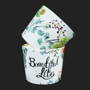 ºäƼǮ 2Á¾ ¿¡¾îȦ´õ (1¹Ú½º/500°³ÀÔ)