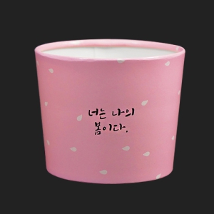 ³Ê³ªº½ ¿¡¾îȦ´õ (1¹Ú½º/500°³ÀÔ)