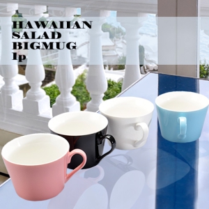 ÇÏ¿ÍÀÌ¾È »ø·¯µå ºò¸Ó±×