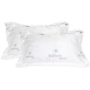 Èúư ÇÁ¸®¹Ì¾ö º£°³ 2P