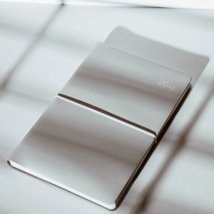 2026 DV PRO1 32 ̾