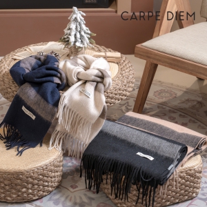 ī  Ʈ 100 ÷ (MF053)