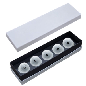 긮 E12 Ʈ 5  ιٸ̽ BE5