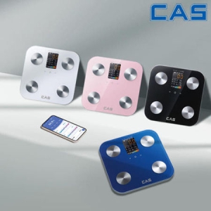 ī CAS  ü  BFA-S10(ѱ)