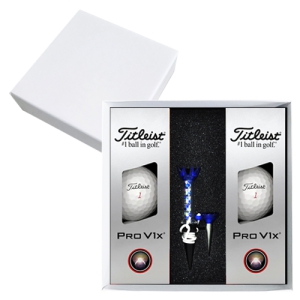 Ÿ��Ʋ����Ʈ PRO V1x 6�� �ڼ�Ƽ ���� �ιٸ����̽�