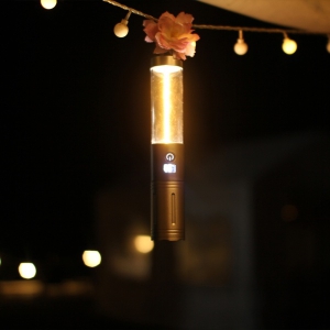 ��ƽ� LED �ƿ����� ķ�� ���� FL250X