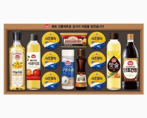 ������ǥ �Ƚ�Ư�� V75ȣ