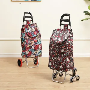 (Blossom) �ҽ� ���� ���̽� �淮 ��ٱ��� ĳ���� 1P