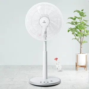 �ڸḮ 14��ġ ������ ���ĵ� ��ǳ�� 2124