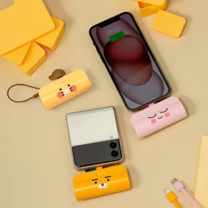 īī�� ������ �������͸� CŸ��/8��