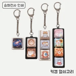 [��ȭ�����μ�]Űĸ ������� 1-4��