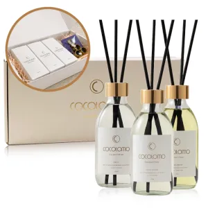 ���ڷθ� ������ ��ǻ�� 200ml 3�� ��Ʈ