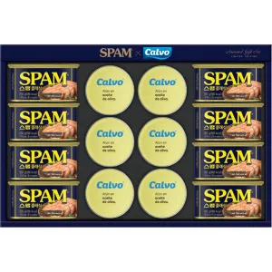 ���� x Calvo �ø��� 14ȣ ������Ʈ