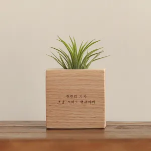 ���� ���� ȭ��