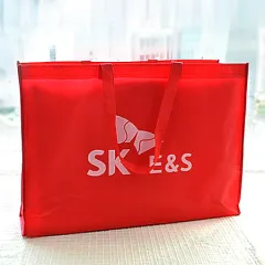 ¼îÇιé | MÀÚÇü ºÎÁ÷Æ÷°¡¹æ_SK E&S 500x110x400mm
