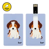 �������丮�� ī���� USB�޸� (4GB~128GB) | ���˹� ����