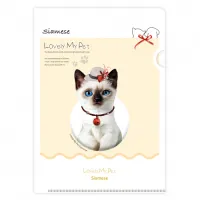 LȦ��_������������_No.1_�� | ���˹� ����